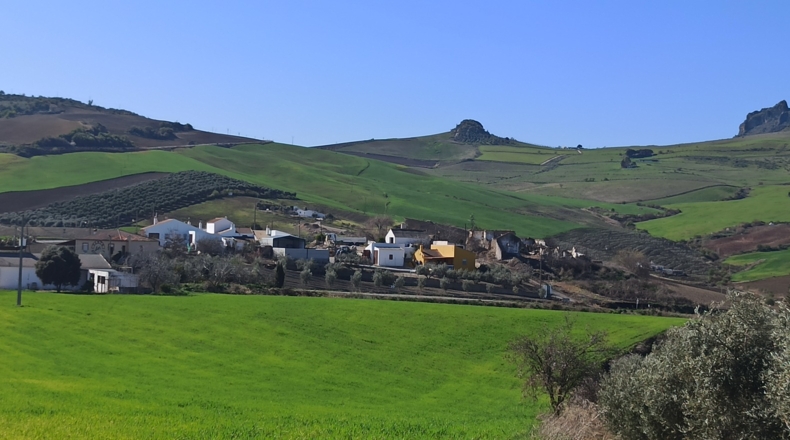 Málaga - Montecorto - 35000m2