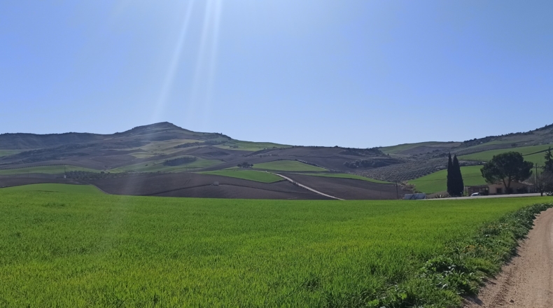 Málaga - Montecorto - 35000m2