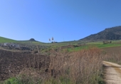 Finca rústica en venda a la Setenil de las Bodegas, ref.: TR27361 foto