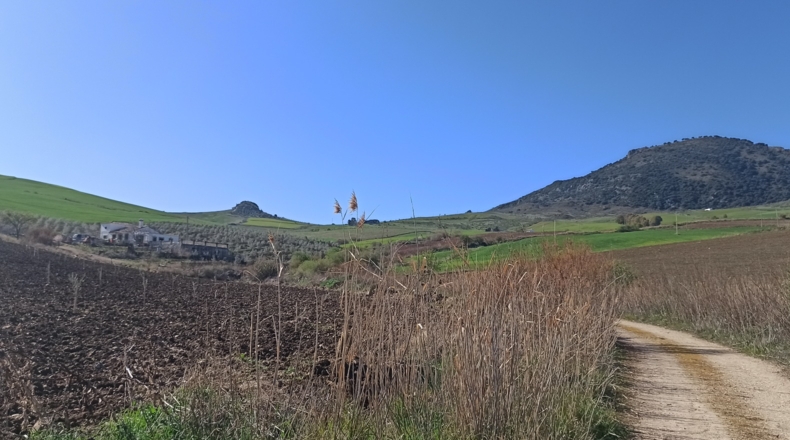 Málaga - Montecorto - 35000m2