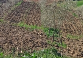 Finca rústica en venda a la Setenil de las Bodegas, ref.: TR27361 foto