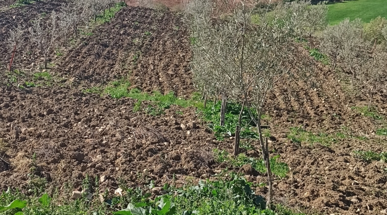 Málaga - Montecorto - 35000m2