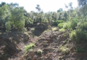 Parcel·la urbanitzable en venda a la Vía Augusta, Montornès del Vallès, ref.: TR31224 foto