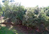Parcel·la urbanitzable en venda a la Vía Augusta, Montornès del Vallès, ref.: TR31224 foto