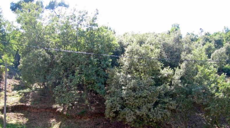Barcelona - Montornès del Vallès - 2500m2