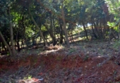 Parcel·la urbanitzable en venda a la Vía Augusta, Montornès del Vallès, ref.: TR31224 foto