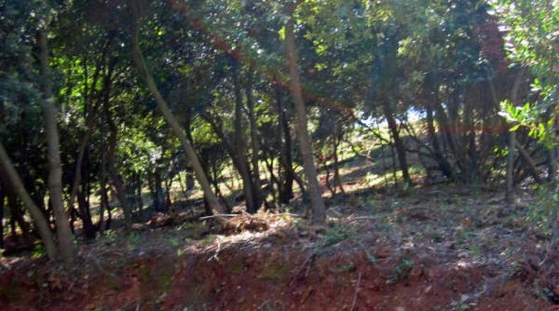 Barcelona - Montornès del Vallès - 2500m2