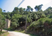 Parcel·la urbanitzable en venda a la Vía Augusta, Montornès del Vallès, ref.: TR31224 foto
