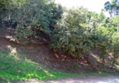 Parcel·la urbanitzable en venda a la Vía Augusta, Montornès del Vallès, ref.: TR31224 foto