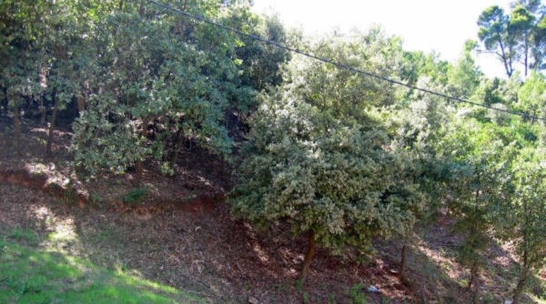 Barcelona - Montornès del Vallès - 2500m2