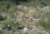 Sòl urbà en venda a la calle llobregat 32, la Bisbal del Penedès, ref.: TR31399 foto