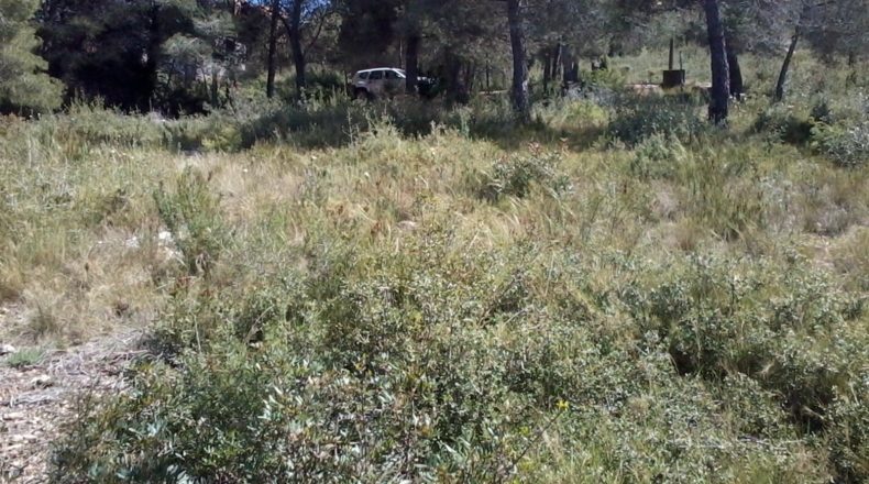 Tarragona - la Bisbal del Penedès - 1200m2
