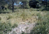 Sòl urbà en venda a la calle llobregat 32, la Bisbal del Penedès, ref.: TR31399 foto