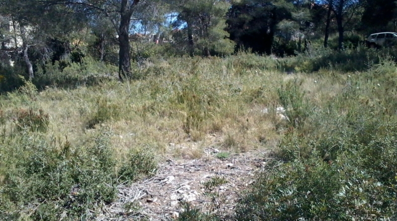 Tarragona - la Bisbal del Penedès - 1200m2