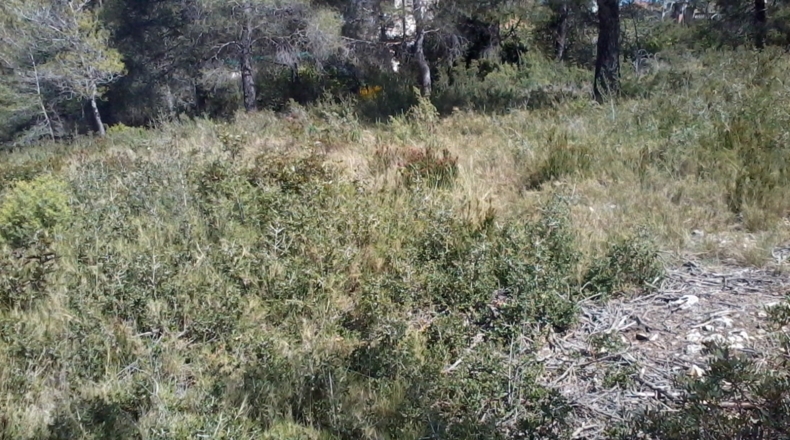 Tarragona - la Bisbal del Penedès - 1200m2