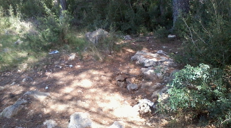 Tarragona - la Bisbal del Penedès - 1200m2