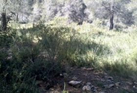 Foto 8