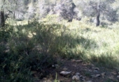 Sòl urbà en venda a la calle llobregat 32, la Bisbal del Penedès, ref.: TR31399 foto