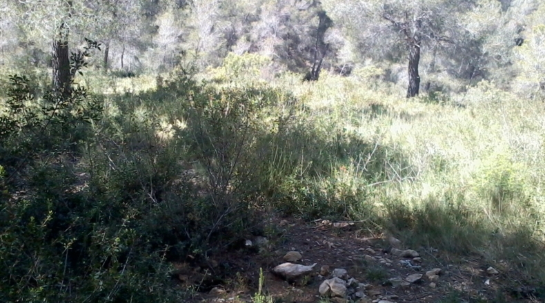 Tarragona - la Bisbal del Penedès - 1200m2