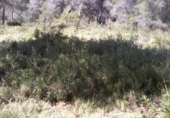 Sòl urbà en venda a la calle llobregat 32, la Bisbal del Penedès, ref.: TR31399 foto