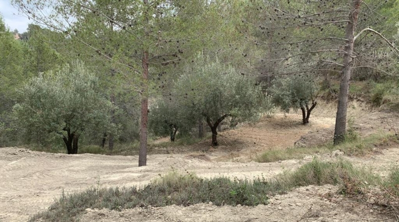 Alicante - Beniardá - 6797m2