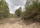 Земля на продажу у города Beniardà Фото