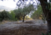 Земля на продажу у города Beniardà Фото