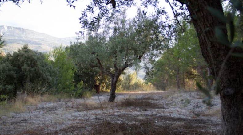Alicante - Beniardá - 6797m2