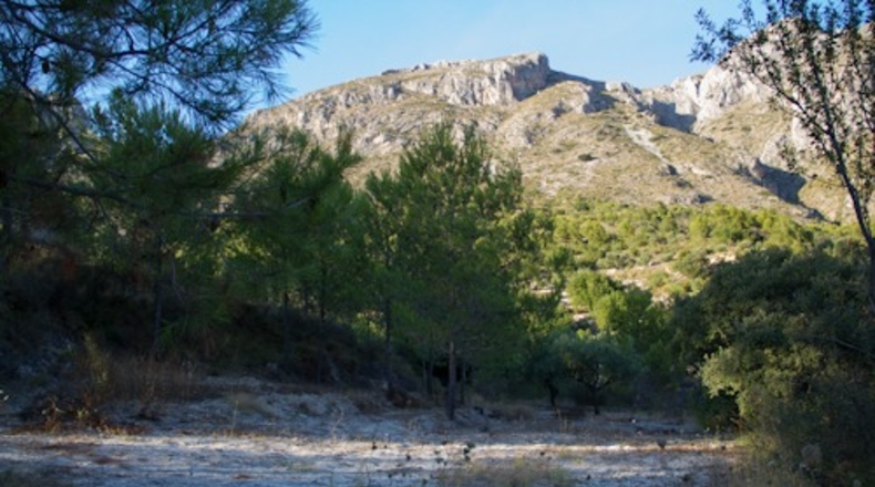 Alicante - Beniardá - 6797m2