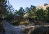 Земля на продажу у города Beniardà Фото
