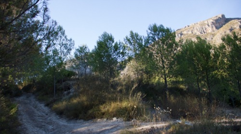 Alicante - Beniardá - 6797m2