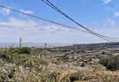 Suelo urbano en venta en la Calle Gardenia, Firgas, ref: TR32095 foto