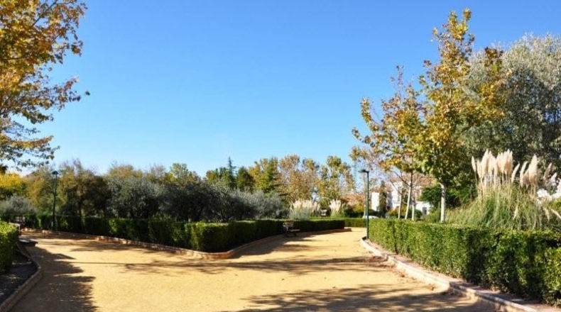 Ciudad Real - Daimiel - 204m2