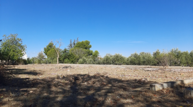Granada - Baúl - 1260m2