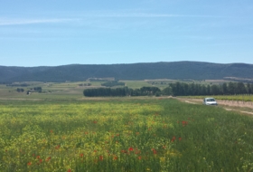 Fontanars dels Alforins 13242&nbsp;m²