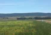 Non-developable land for sale on Parcela 56 poligono 2, Fontanars dels Alforins, ref: TR33754 photo