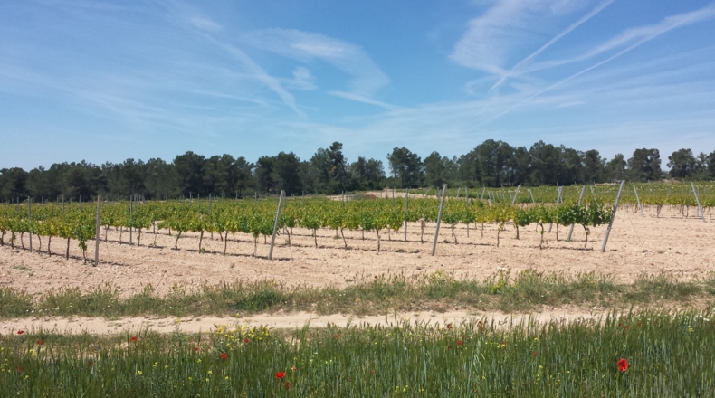 Valencia - Fontanares - 13242m2