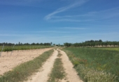 Non-developable land for sale on Parcela 56 poligono 2, Fontanars dels Alforins, ref: TR33754 photo