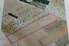 Fontanars dels Alforins 13242&nbsp;m²