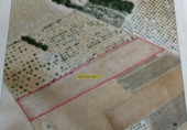 Non-developable land for sale on Parcela 56 poligono 2, Fontanars dels Alforins, ref: TR33754 photo