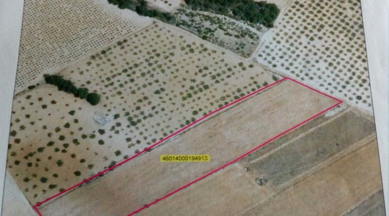 Valencia - Fontanares - 13242m2