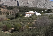 Finca rústica en venta en la A-343, Valle de Abdalajís, ref: TR34564 foto