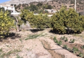 Finca rústica en venta en la A-343, Valle de Abdalajís, ref: TR34564 foto
