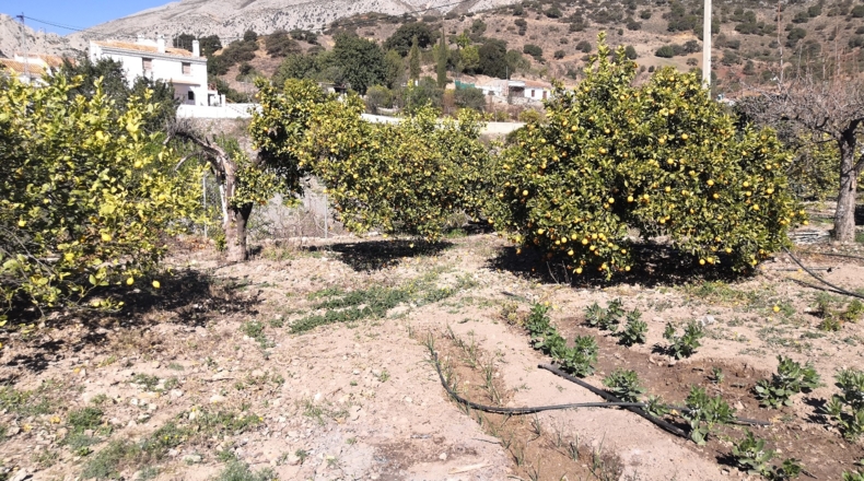 Málaga - Valle de Abdalajís - 475m2