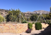 Finca rústica en venta en la A-343, Valle de Abdalajís, ref: TR34564 foto