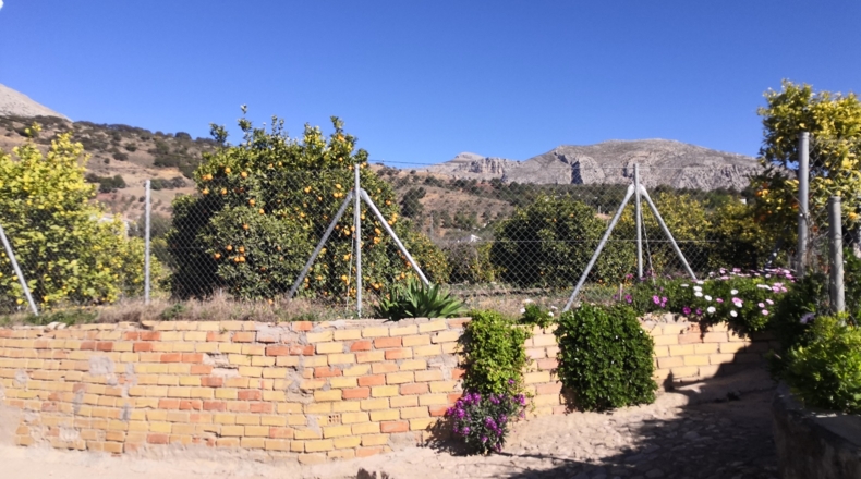 Málaga - Valle de Abdalajís - 475m2