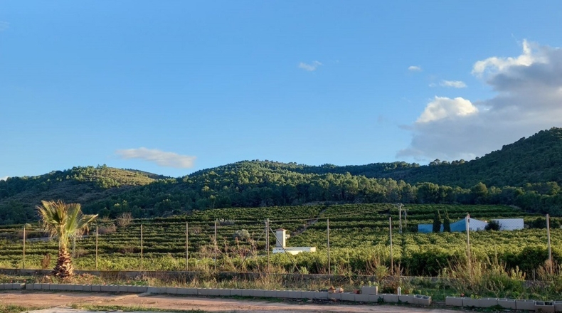 Castellón - La Vall d'Uixó - 20000m2