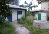 Finca rústica en venta en la Camino de la Zarzuela, Navalcarnero, ref: TR34691 foto