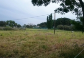 Finca rústica en venta en la Camino de la Zarzuela, Navalcarnero, ref: TR34691 foto