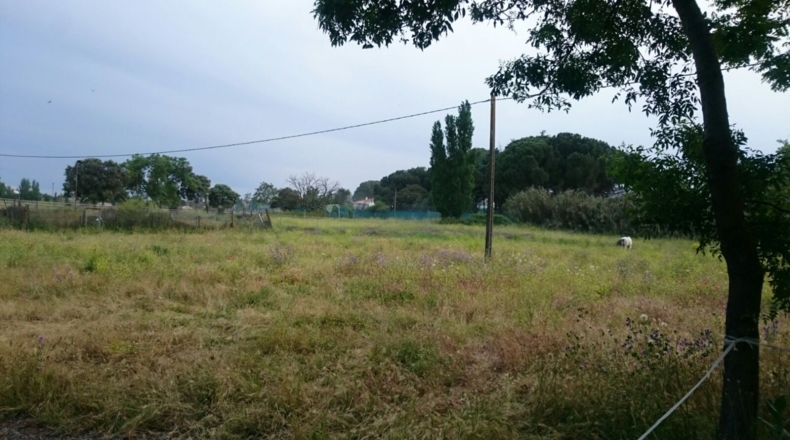 Comunidad de Madrid - Navalcarnero - 31455m2